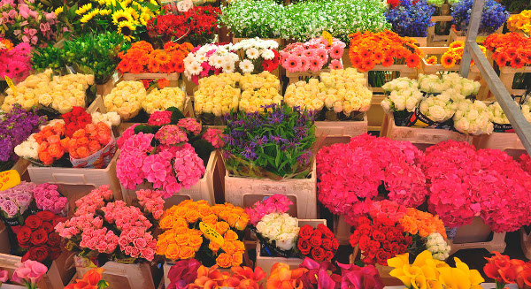 Как открыть цветочный бизнес поэтапно