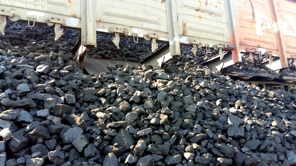 Производство древесного угля как бизнес